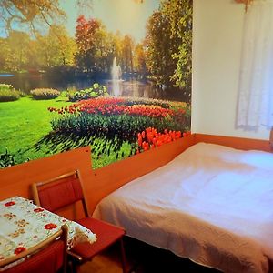 Ekononiczny pokój jednoosobowy